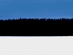 estonian_flag_winter_forest.jpg