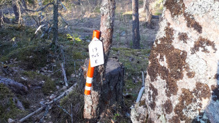 Kuvassa on suunnistuksen kiintorastin rastilippu.