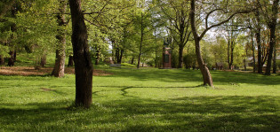 Vehreä kuva tyhjästä Tuomaanpuistosta