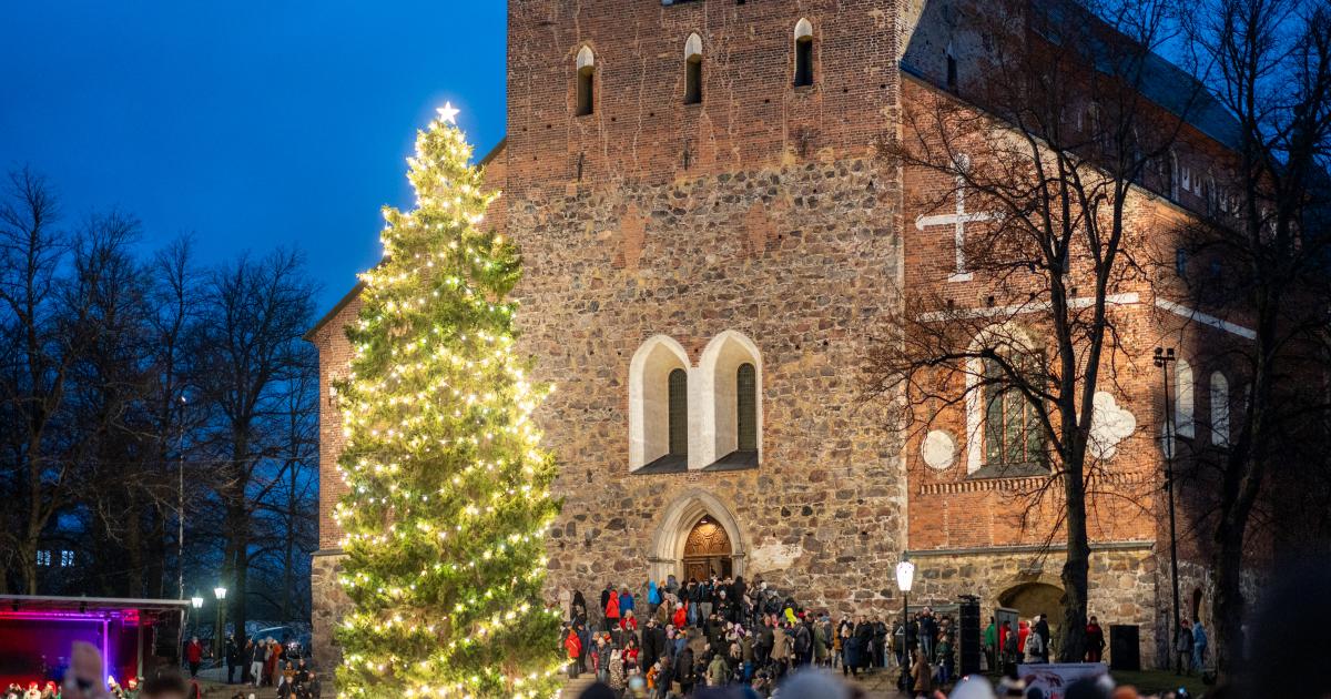 Tuomiokirkon Kuusi Turku fi tuomiokirkon-kuusi-turku-fi