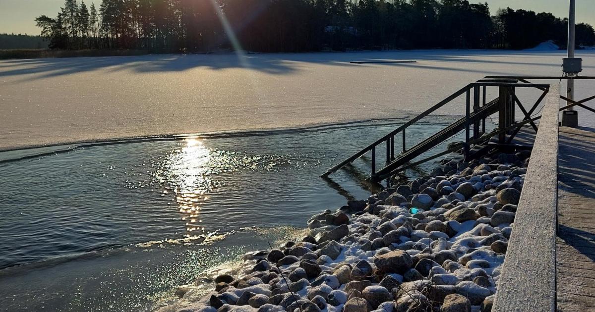 saaronniemen-talviuinti-turku-fi