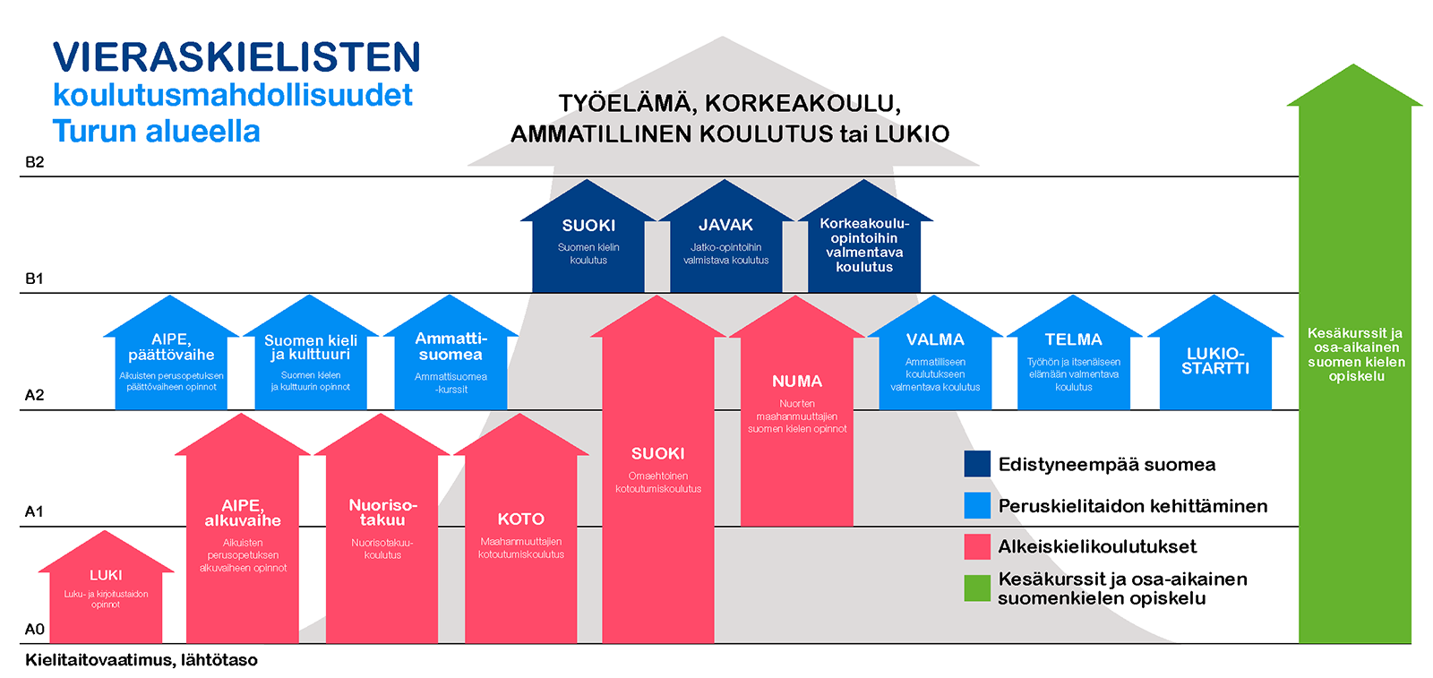 Infograafi eri tutkintojen suomenkielivaatimuksista. Löydät lisätietoa kielivaatimuksista, kun luet sivua alaspäin.