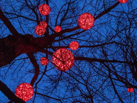 Punaiset valopallot puissa