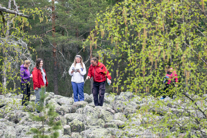 Viisi ihmistä kävelemässä kivikkoisessa metsässä. (Kuva: Heikki Räisänen)