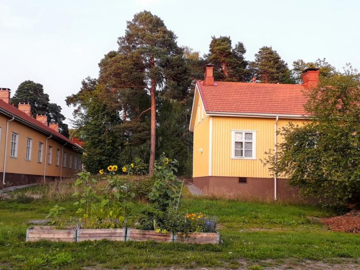 Keltainen puurivitalo, jonka edessä kasvien istutuslaatikoita. Taustalla korkeita puita. (Kuva: Petri Pulli )