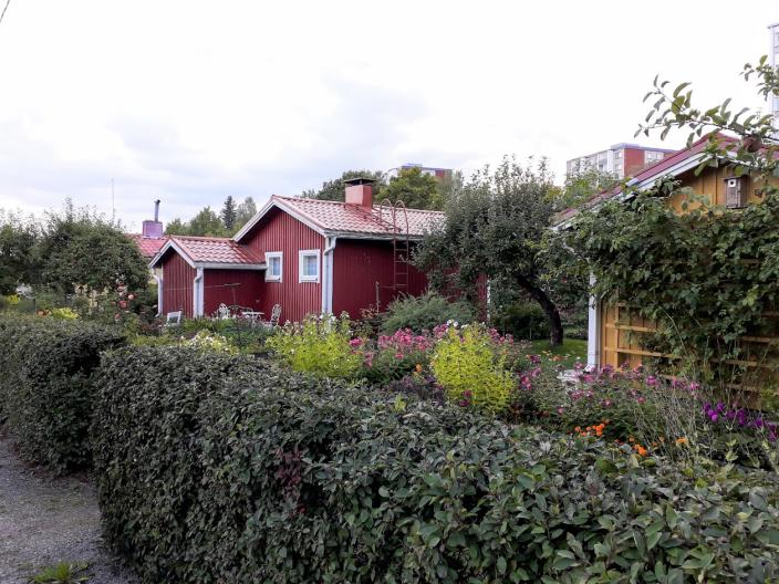 Pensasaidan takana näkyy kaksi mökkipalstaa ja niiden runsaat puutarhaistutukset. (Kuva: Petri Pulli)