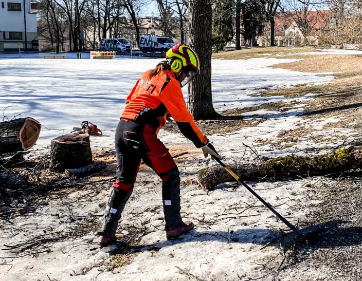 Kuvassa työmies tekee puidenhoitoa Vartiovuorella. (Kuva: Joel Karlsson)