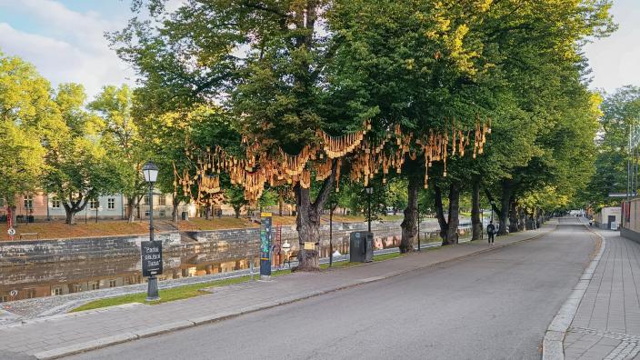 Valokuva Älä jätä minua roikkumaan -installaatiosta. Kuvassa näkyy puistolehmus, johon on ripustettu 1000 keltaista kaulanauhaa henkilökortteineen (Kuva: Ari Brozinski)