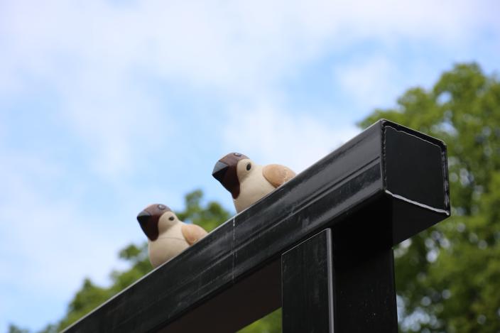 Varpuset keinun orrella. (Kuva: Risto Lahtinen)