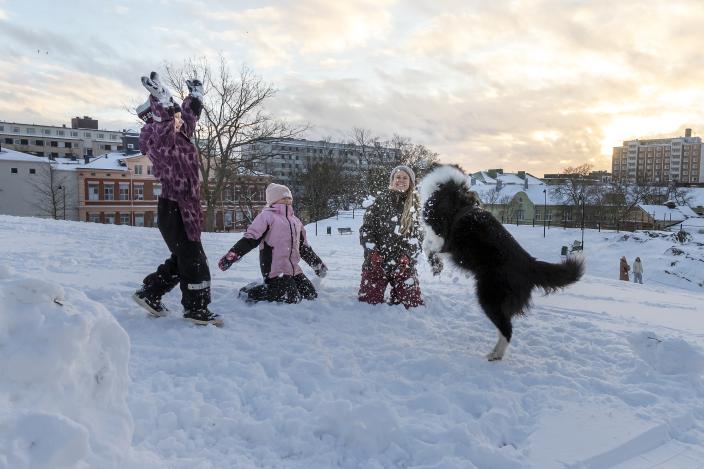 Två barn och en vuxen kastar snö i luften medan en hund hoppar efter snöbollar. (Foto: Timo Jakonen)