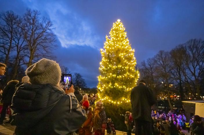 Ihmisiä katsomassa valaistua joulukuusta Turun tuomiokirkon edustalla