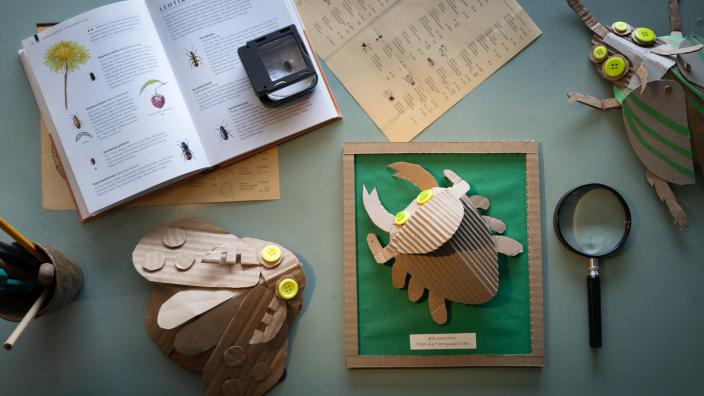 pahvisia hyönteisiä ja tutkimuskirjoja (Kuva: Denisse Islas)