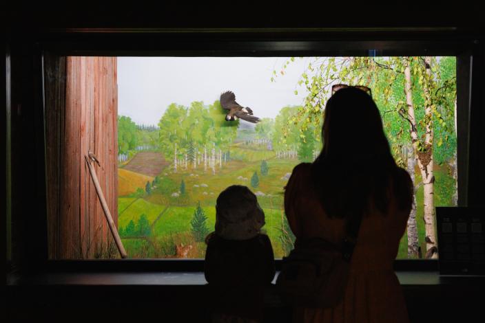 Lapsi ja aikuinen katselemassa dioraamaa, jossa keväinen luontomaisema. (Kuva: Ville Mäkilä)