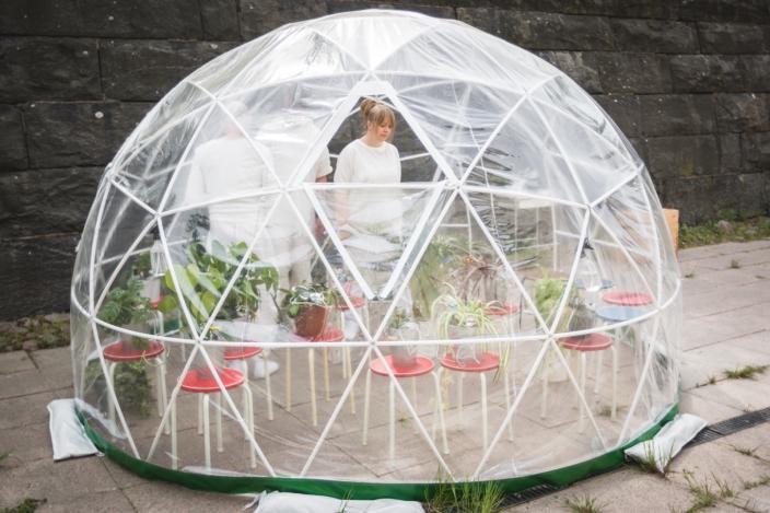 Viherkasveja punaisten jakkaroiden päällä ja ihmisiä läpinäkyvässä muoviteltassa. (Kuva:  Petri Tuohimaa)