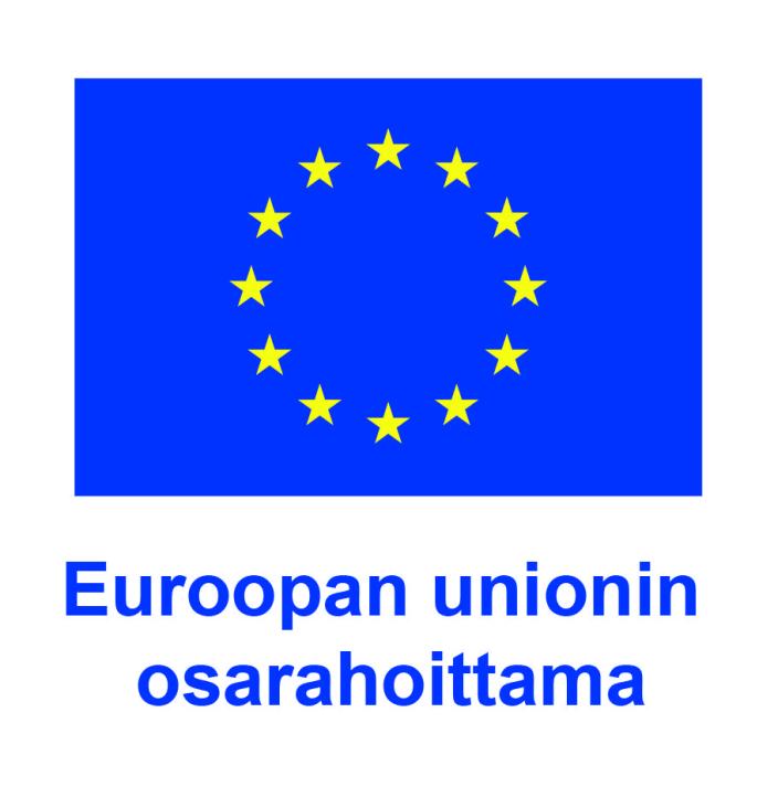 Euroopan unionin osarahoittama -logo (Foto: EU)