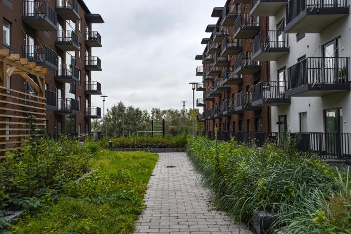 Vehreä sisäpiha Herttuankulman asuinalueella. Talojen välistä kulkuväylää reunustavat erilaiset kasvit. (Kuva: Päivi Leinonen/Hyvinvoiva Linnakaupunki -hanke)