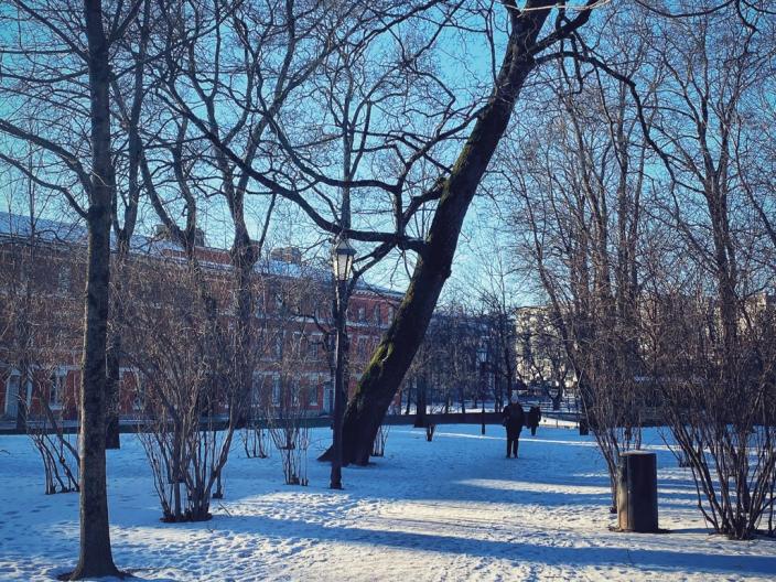 Henrik Tempils stig i snöig vinter dag. Ett par människogestalter går längs stigen. Katedralskolans byggnad i bakgrunden. (Foto: Jake Papinaho/ Å Communications)
