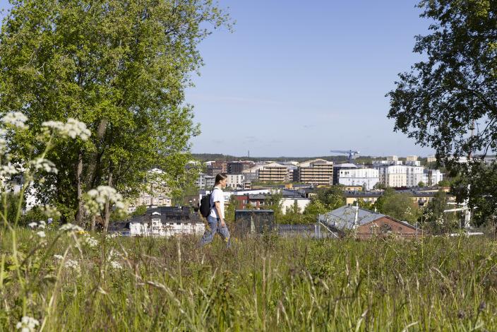 Maisema Korppolaismäeltä, jossä näkyy niittyä, ihminen ja taustalla kaupunkia.