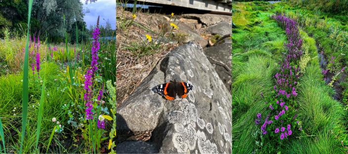 RESIST-hankkeen tilaisuuden kuvitusluontokuva. Kuvassa näkyy kesäistä luontoa ja perhonen. (Kuva: RESIST-hanke)