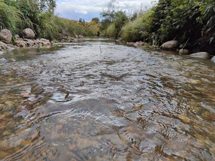 Virtaava puro ja vehreä puronvarsi. Taustalla keltainen kaivinkone.  (Kuva: Liisa Vainio)