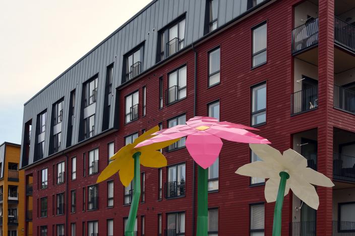 Kolme isoa kukkaveistosta kerrostalon edustalla. (Kuva: Mika Natri)