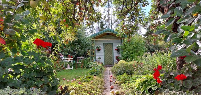 Siirtolapuutarhapalsta Kupittaalla (Kuva: Samuli Saarinen)