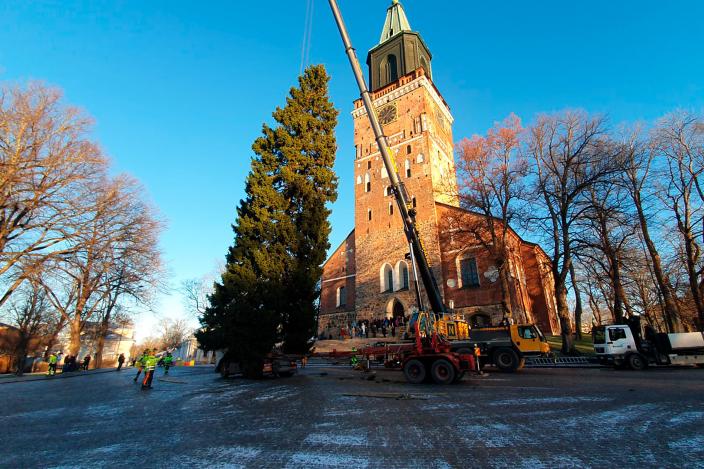 Domkyrkans julgran står framför Åbo domkyrka. (Foto: Kalevi Grönlund)