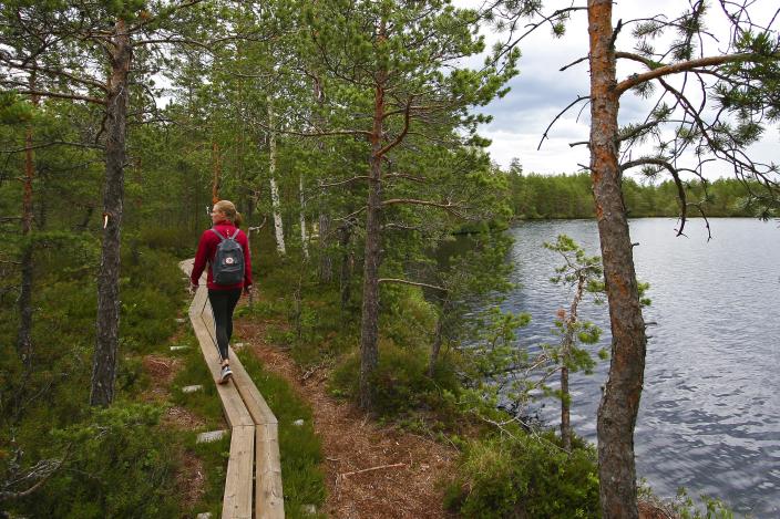 Retkeilijä syksyisessä metsässä pitkospuilla järven rannalla. (Kuva: Vilma Hilden)