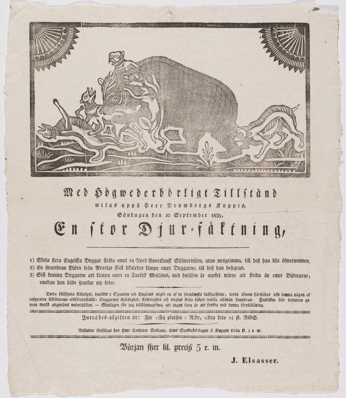 Vanha mustavalkoinen sirkusjuliste, jonka kuvituskuvassa koirat käyvät karhun kimppuun. (Kuva: Pihla Kuulas)