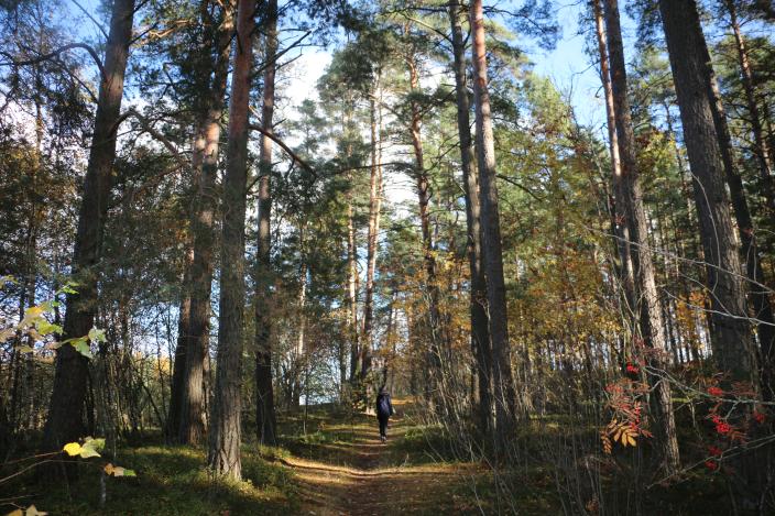 Nainen kävelee Skanssin biodiversiteettipuistossa. (Kuva: Anna Paulus)