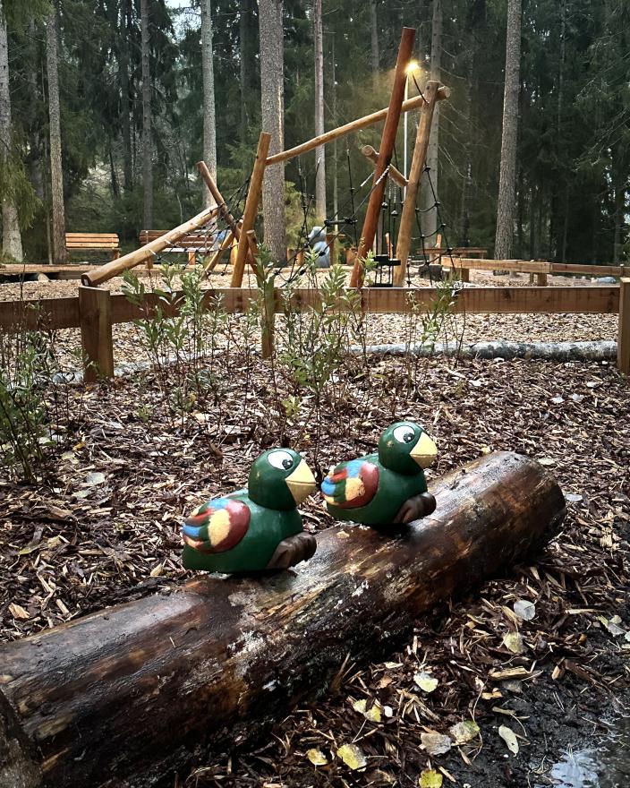 Papinsaaren luontoteemainen leikkipaikka. (Kuva: Anna-Kaisa Hatakka)