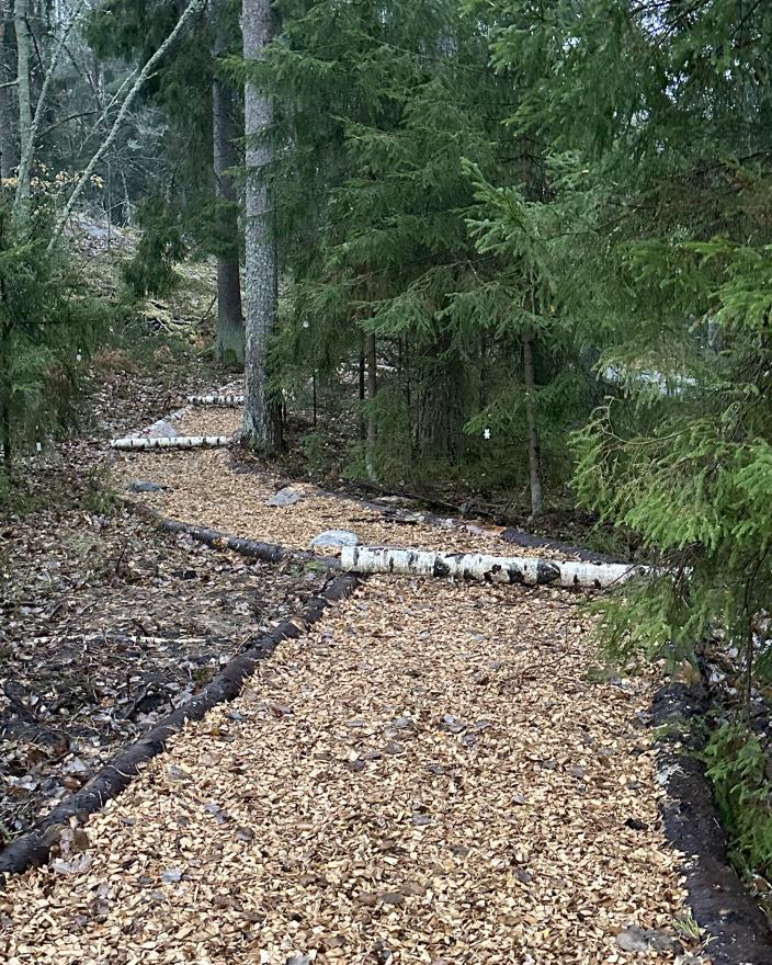 Papinsaaren leikkipaikan hakepolulle on laitettu keppariesteitä. (Kuva: Anna-Kaisa Hatakka)