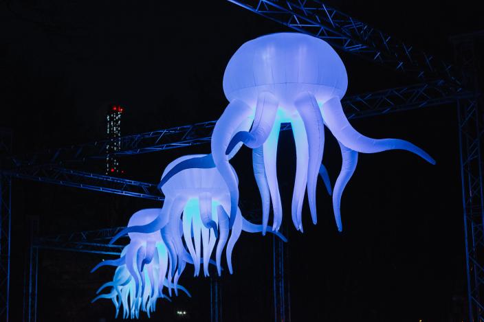 Valotaideteos Jellyfish