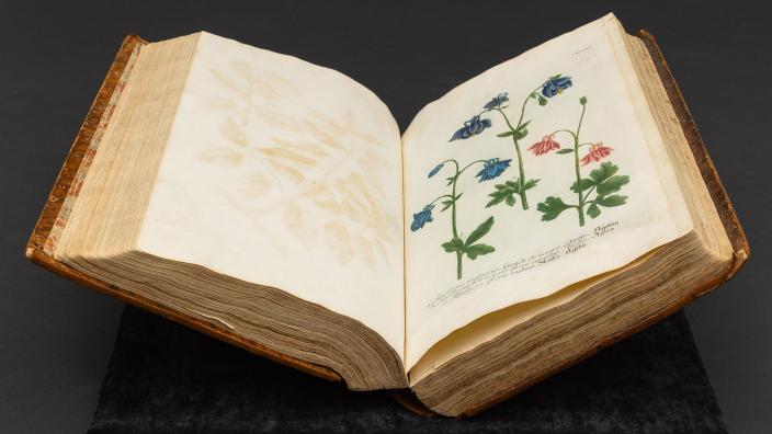 Kasvikirja vuodelta 1737. (Kuva: Ville Mäkilä, Turun kaupunginmuseo)