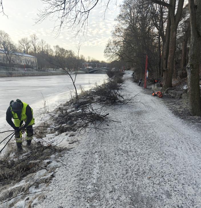 Rantareitin raivausta 