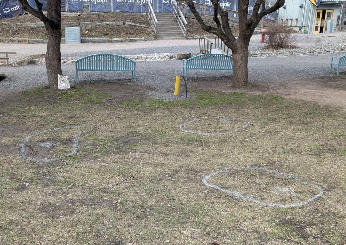 Puiston nurmikolle on merkitty kolme erikoisen muotoista muotoa (Kuva: Joel Stenroos)