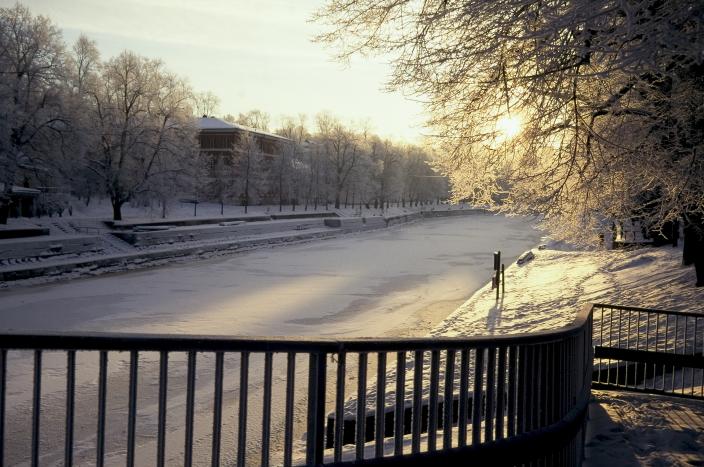 Frostiga träd vid åstranden och den snötäckta, istäckta Aura å en solig vintereftermiddag. (Foto: Esko Keski-Oja)