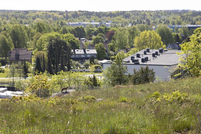 Edessä heinikkoista luontoa. Taustalla puustoa ja taloja.  (Kuva: Suvi Elo)