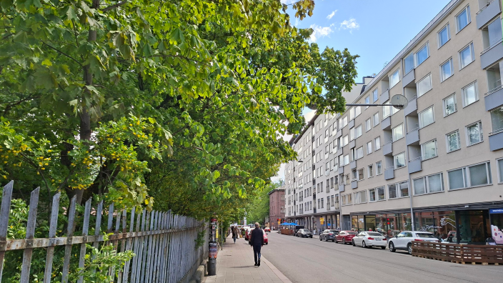 Kuvassa näkyy luontopohjainen toimenpide, latvuspeittävyys kaupunkiympäristössä. (Kuva: Hilja Kurkinen)