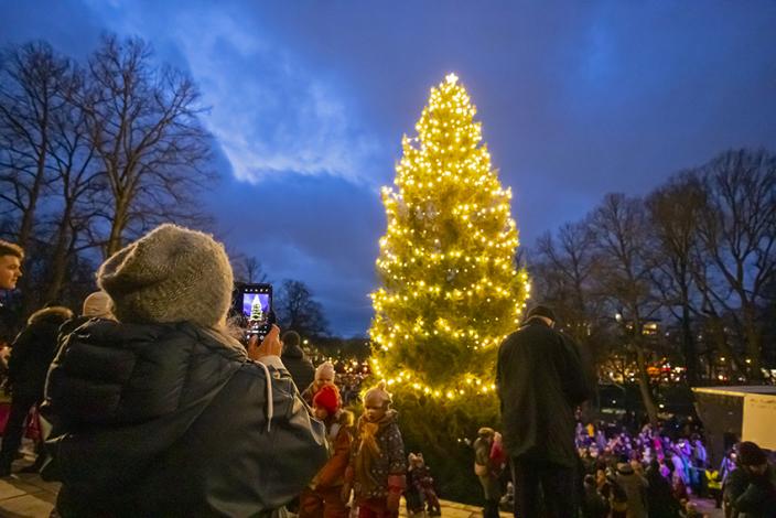 Kuvassa on Tuomiokirkon joulukuusi juuri valojen syttymisen jälkeen, kuvaa näkyy myös paljon ihmisiä. (Kuva: Timo Jakonen)